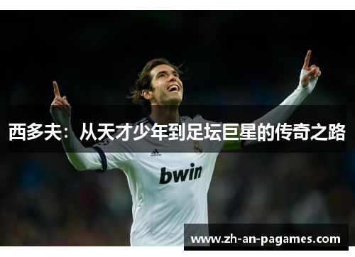 西多夫:从天才少年到足坛巨星的传奇之路 西多夫:从天才少年到足坛巨星的传奇之路